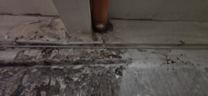 pereti umezi in beci